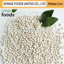 Hot Sale Dried White Kidney Beans